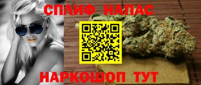 СК Севастополь