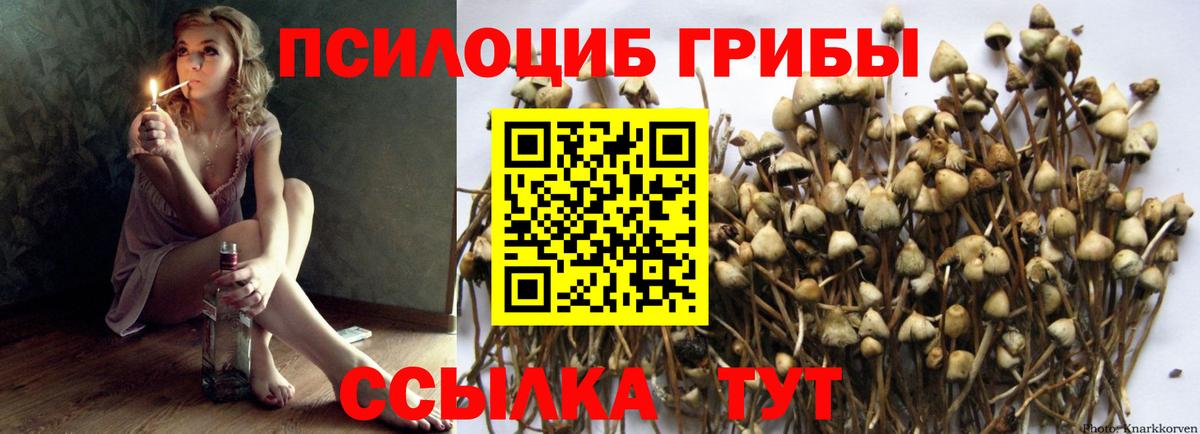 Галлюциногенные грибы Magic Shrooms  Вход с VPN  Северобайкальск 