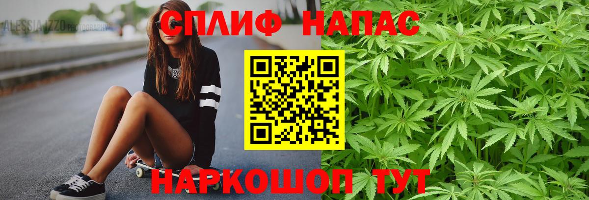 Бошки марихуана марихуана Северобайкальск